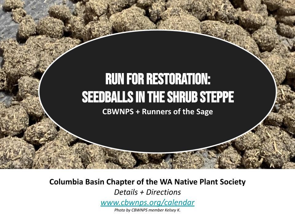 Seedball Making with Runners of the Sage Richland Public Library