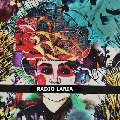 Radio Laria - anke