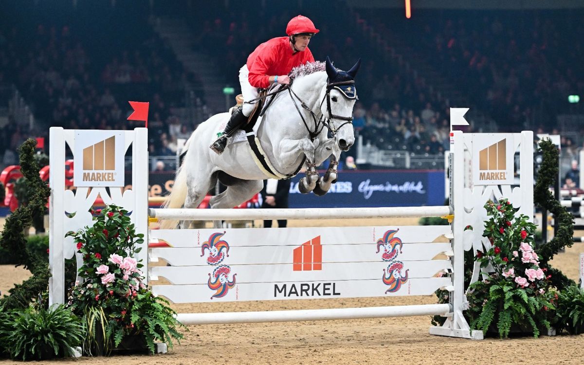 International Horse Jumping Competition