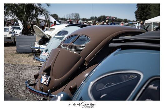 European Bug In European Bug-In #9 Chimay 1,2,3 July 2022 (New Dates) | online | July 1 ...