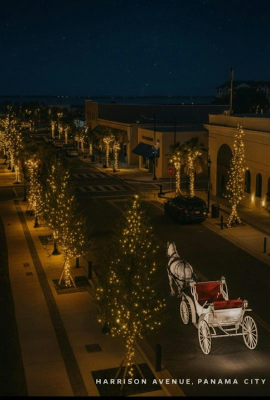 Historic Downtown Horse and Carriage Rides