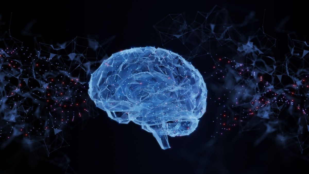 International Conference on Neuroscience and Brain Disorders (ICNBD2025)