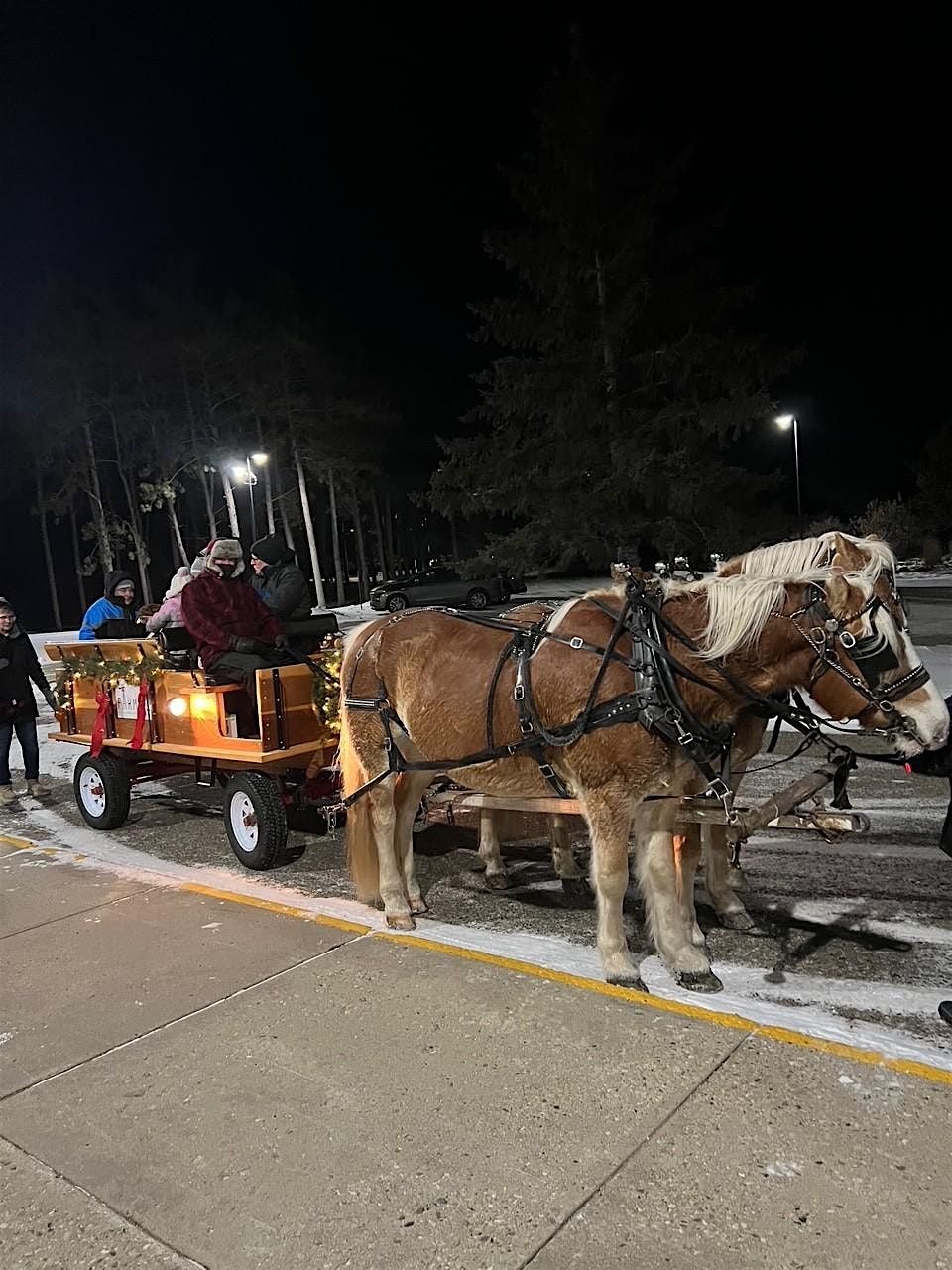 Winter Sleigh Rides - December 19th
