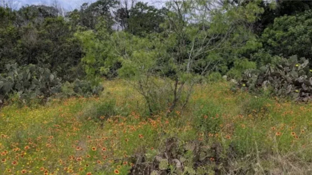 Barton Creek trail from Via Fortuna (with stop at Tacodeli)