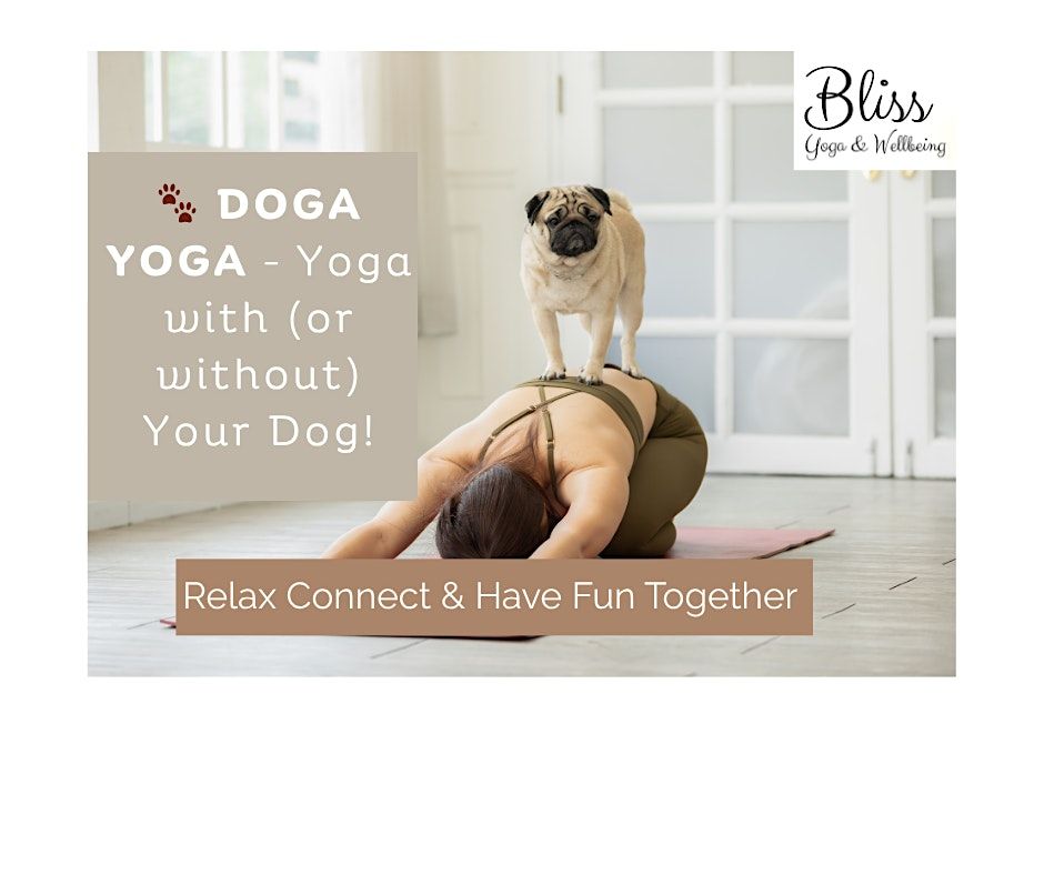 DOGA YOGA \u2013 Yoga with (or without) Your Dog!