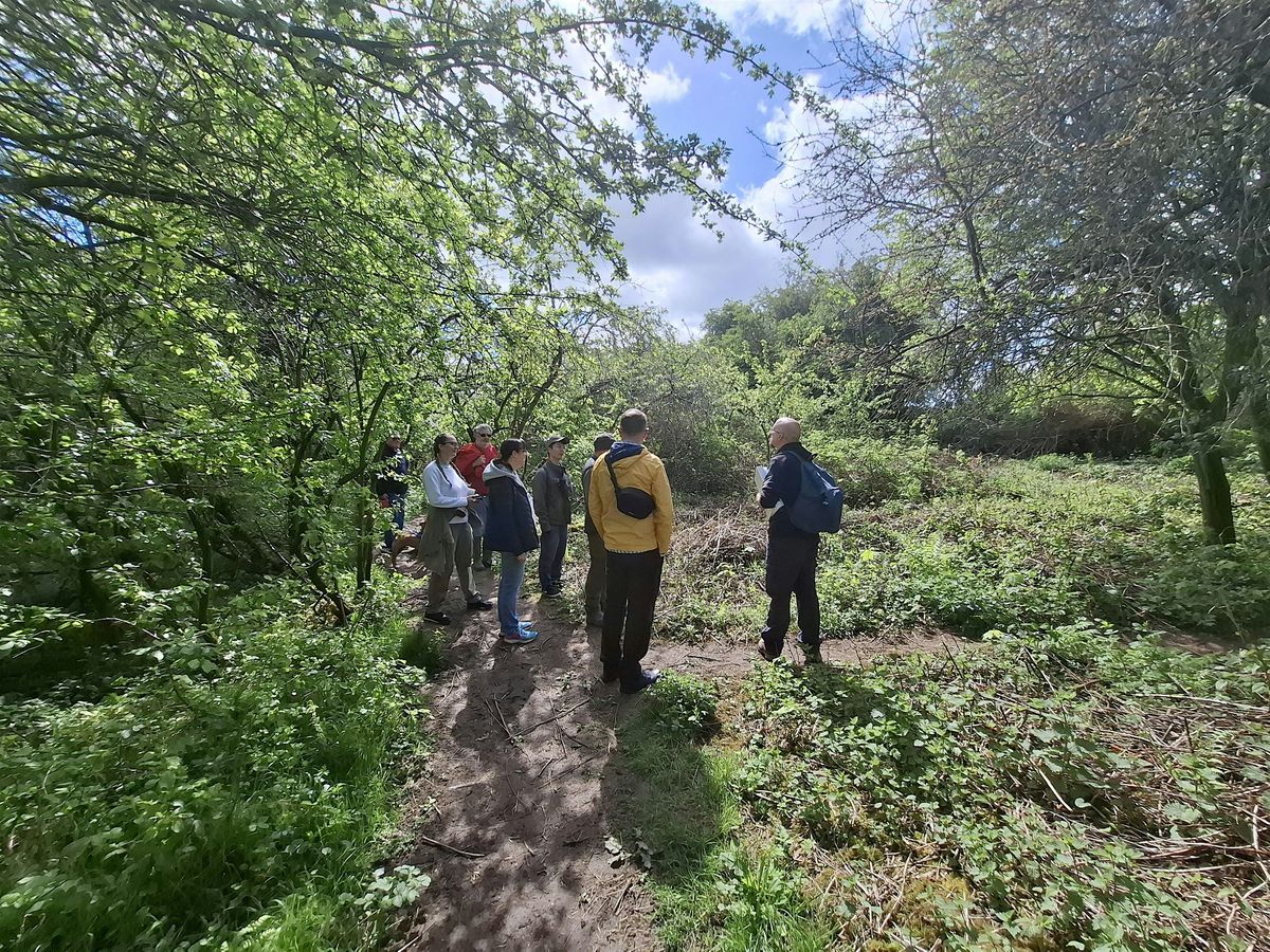 Amphibian Walk