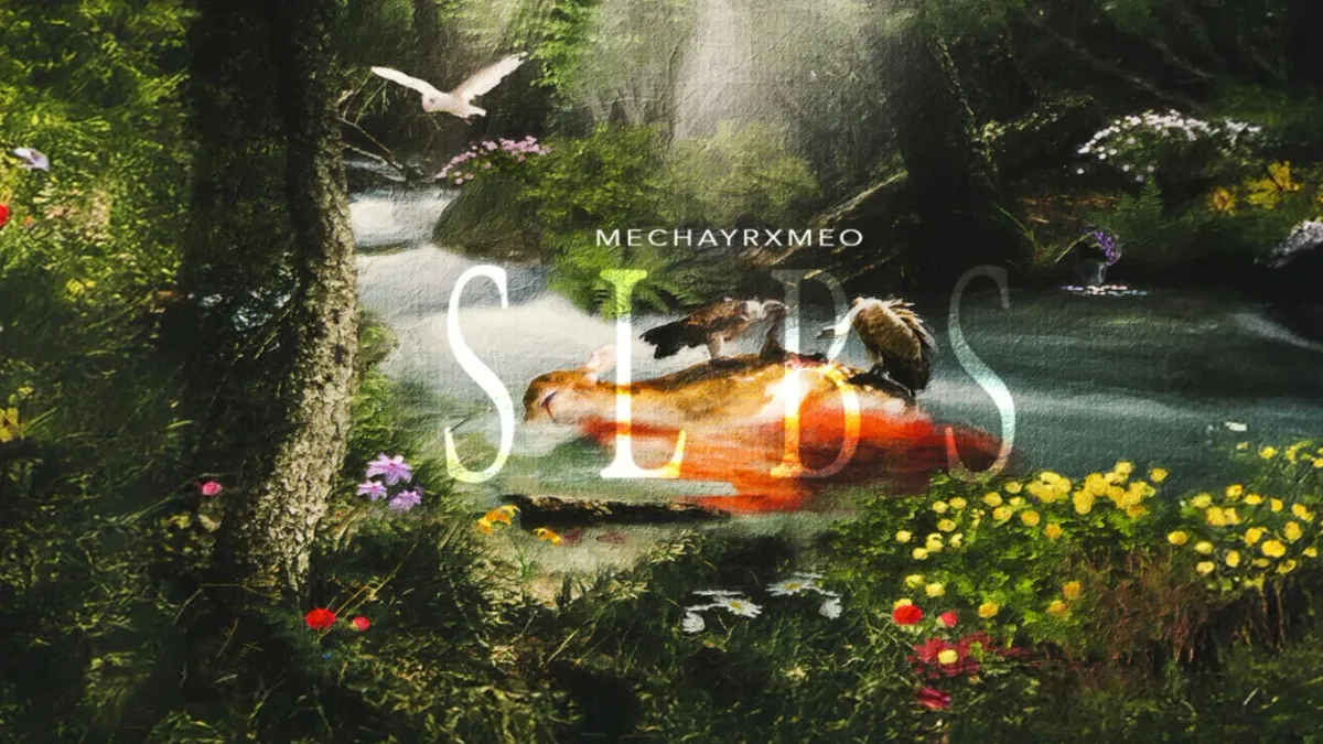 MECHAYRXMEO in Ciudad De M\u00e9xico