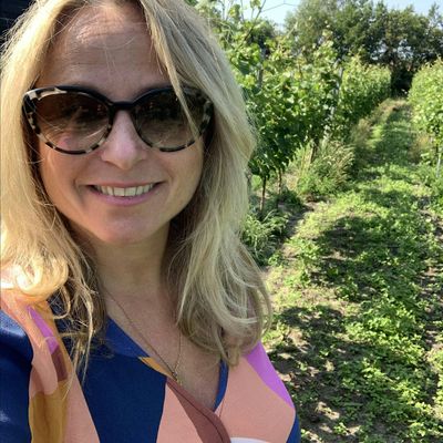 Sip Wine with Syllie