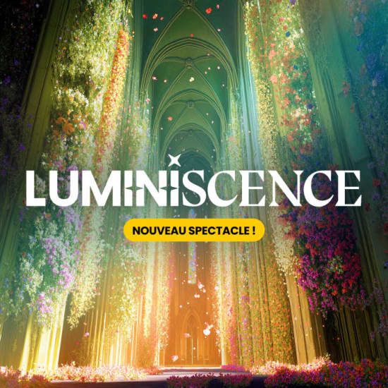 LUMINISCENCE : Le grand retour \u00e0 Bordeaux, dans la lumi\u00e8re de Saint-Andr\u00e9