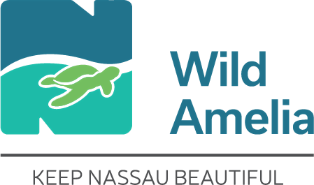 Wild Amelia Children's Photography Workshop 2026