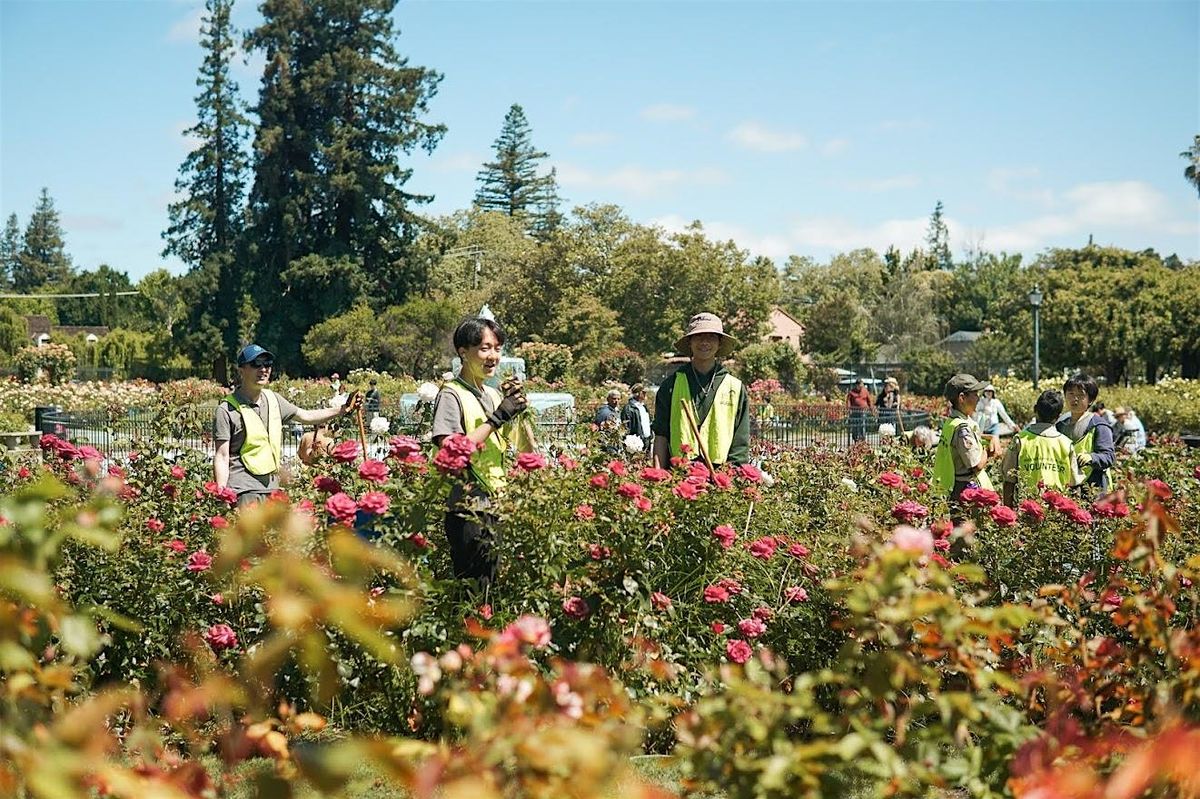 Community Event at Guadalupe Garden - Heritage Rose Garden!