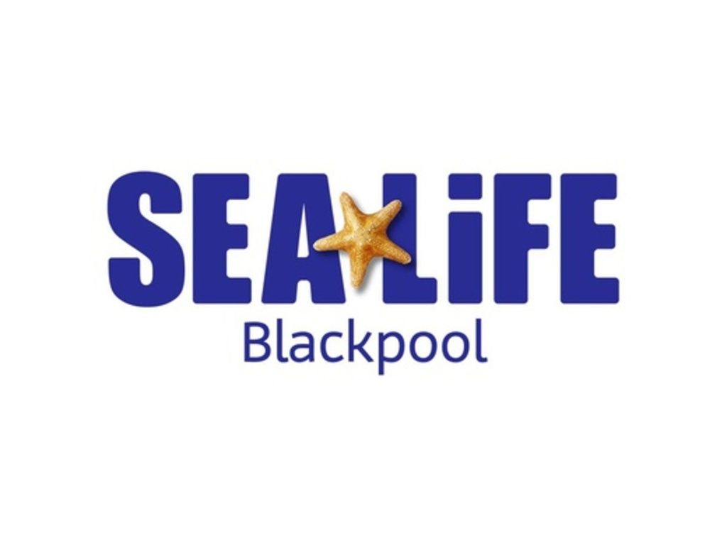 Sea Life Centre Blackpool + Virtual Reality Experience