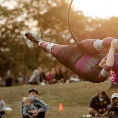 Hercinia Arts Collective