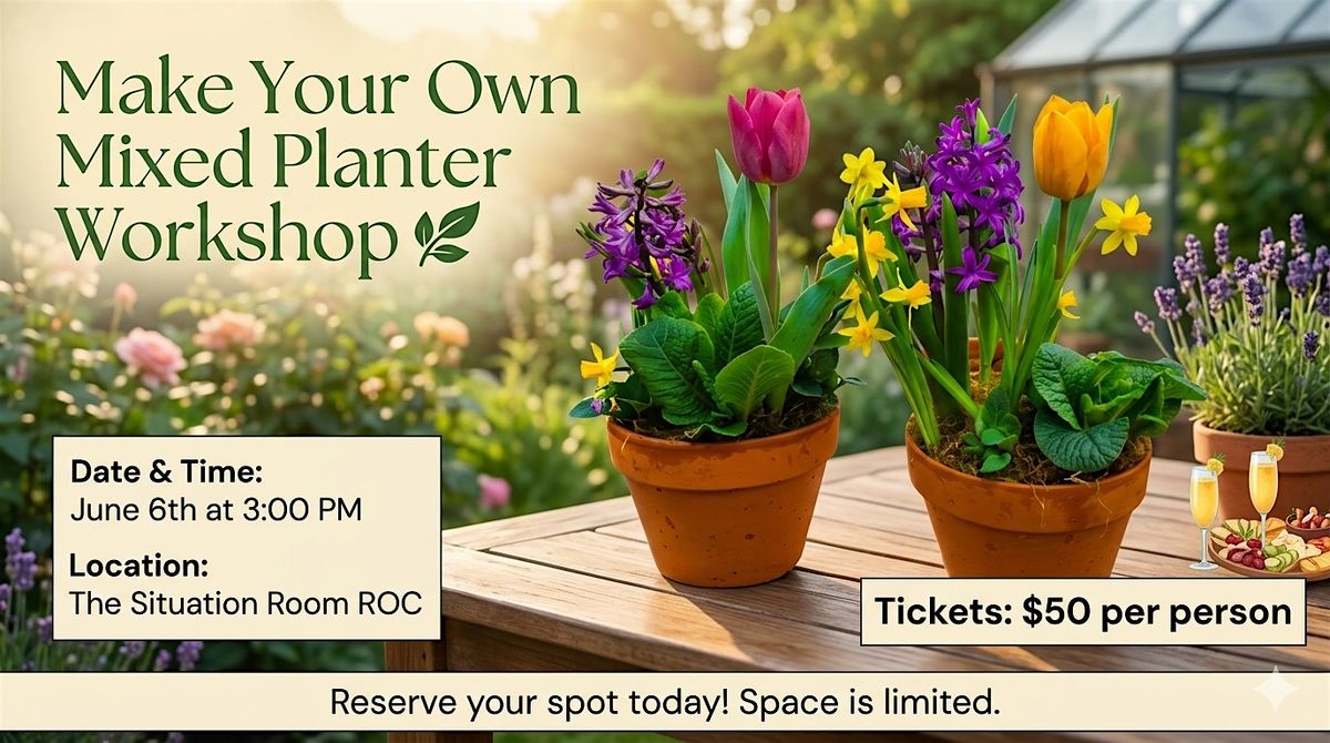Make Your Own Mixed Planter Workshop