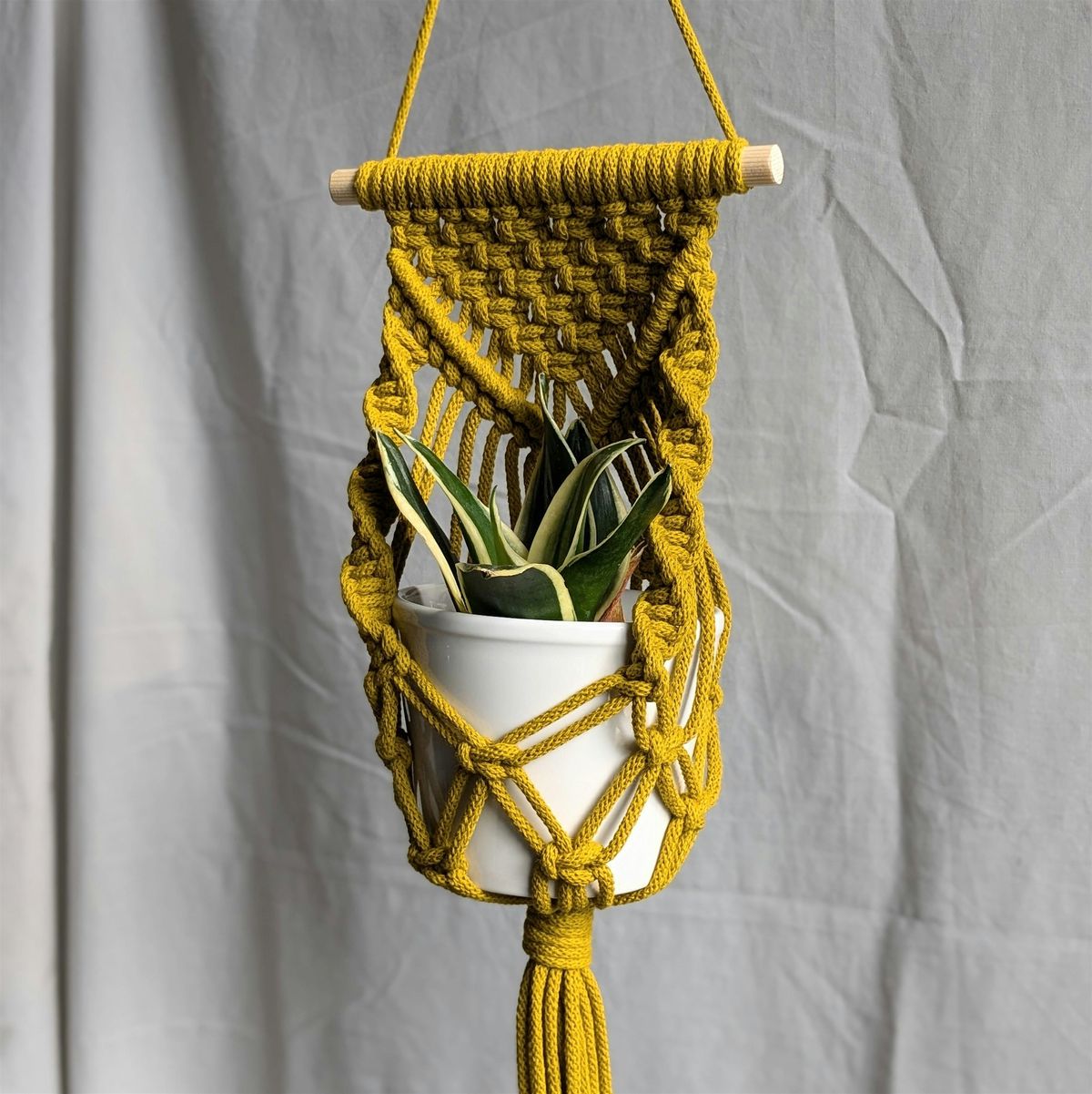 Macrame Wall Planter Workshop