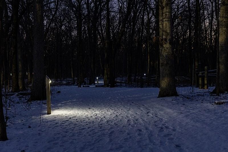 WWE IL: Winter Solstice Solar Lit Night Hike at Old School Forest Preserve