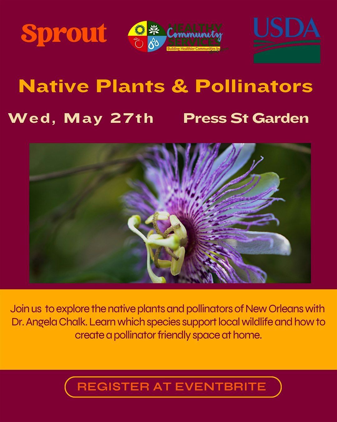 Native Plants and Pollinators