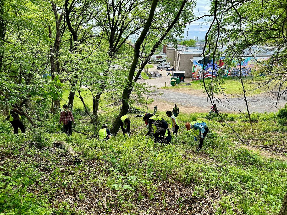 Community Conservation: Invasive Removal at Hellbender Hill