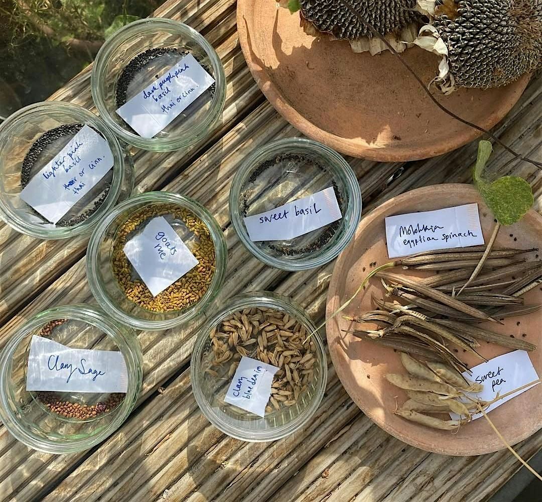 Tea Making with Hackney Herbal