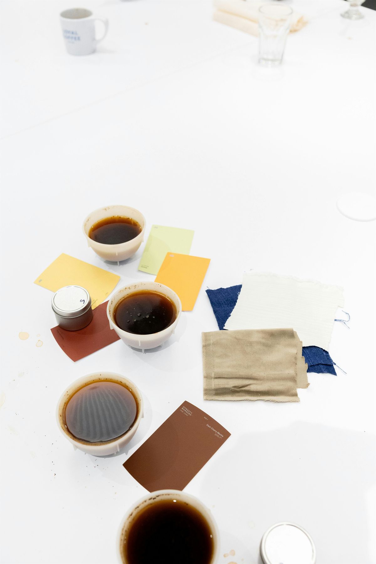 Coffee as Color, Texture, and Story - A Sensory Tasting Experience