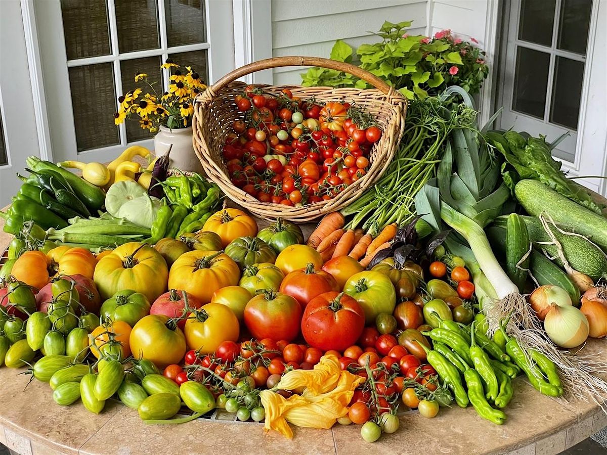 How to Make Your Home Non Toxic