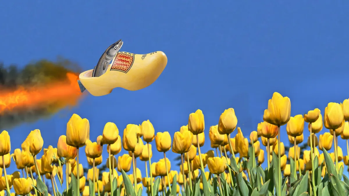 gladde paling in Middelburg