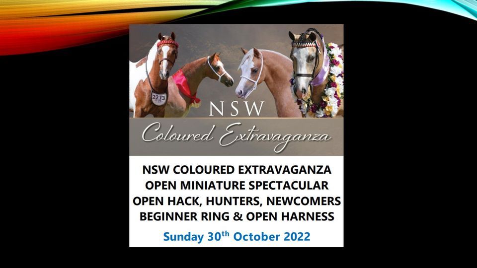 2022 PINTO NSW SPRING CHAMPIONSHIPS in conjunction with NSW COLOURED ...