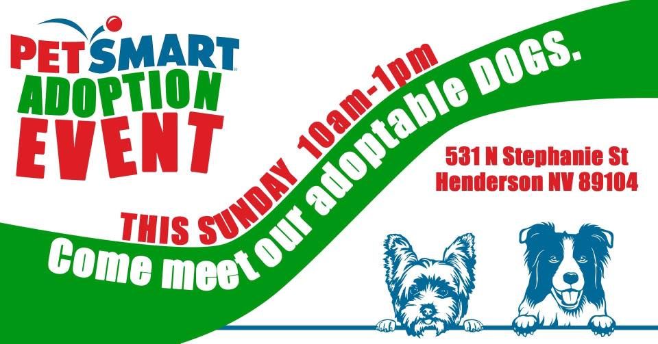Dogs Animal Rescue Adoption Event PetSmart (Henderson, NV) January 15, 2023