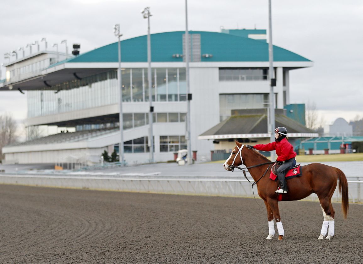 Emerald Downs Live Racing