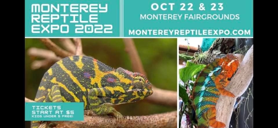 Monterey Reptile Expo