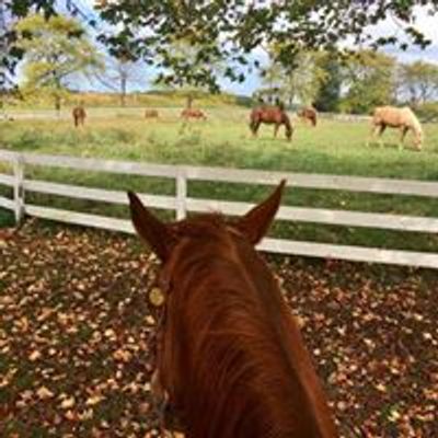 Blended Spirits Ranch Equine-Assisted Therapy Center