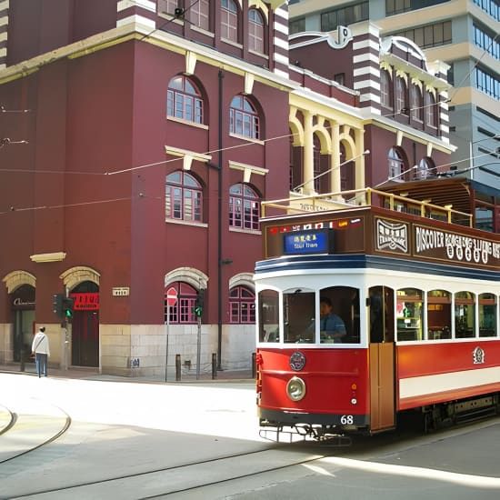 TramOramic Sightseeing Tour plus 2-Day Tramways Ticket