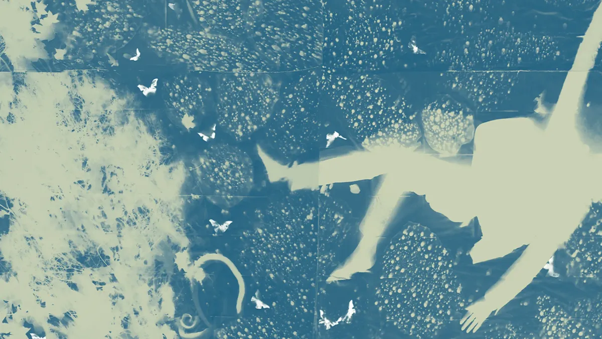 Iron &amp; Wine in Waitemat\u0101