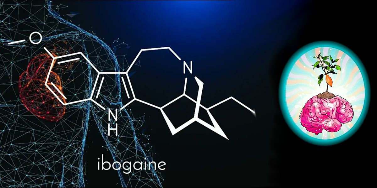 Iboga - A Plant of Hope - Free Information Session