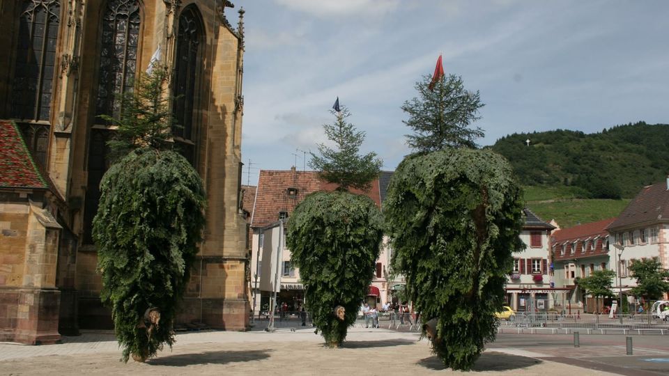 Cr\u00e9mation des trois Sapins THANN 