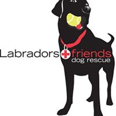 Labradors and Friends Dog Rescue