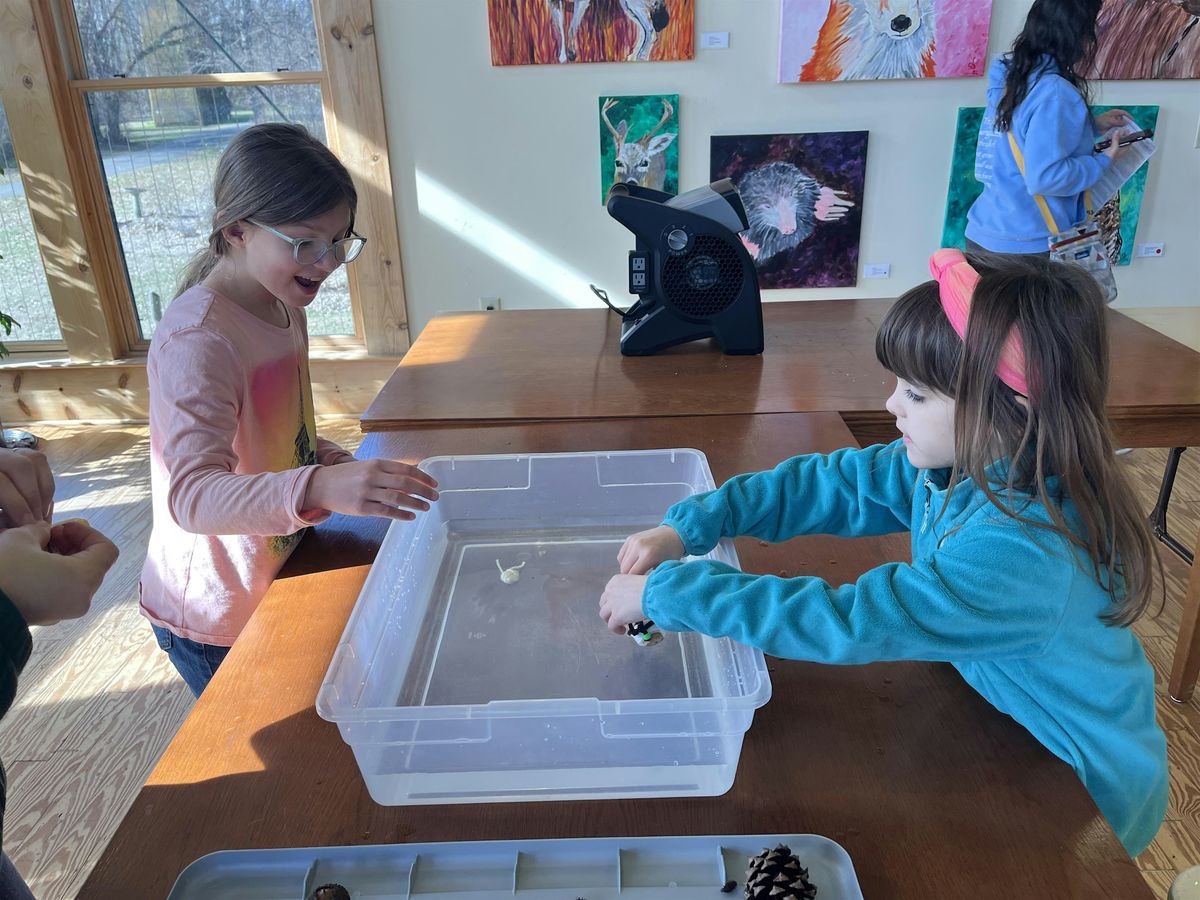 Jr. Naturalist: Seed Science