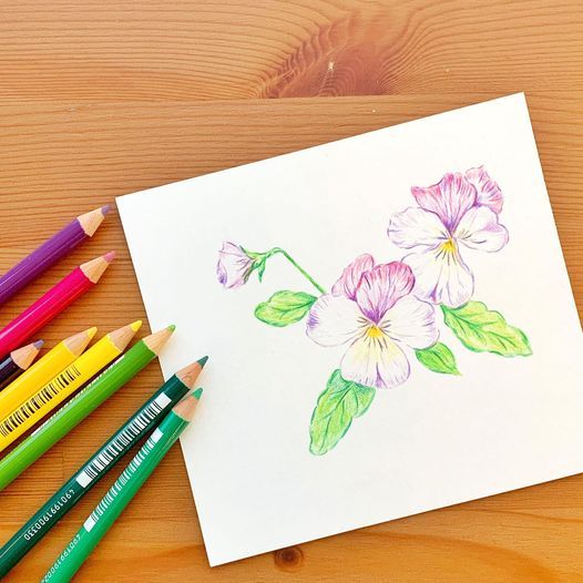 New 秋日花語 色鉛筆花繪工作坊 三色堇主題 Pansy Colored Pencil Workshop Nan Fung Centre Hong Kong Hk October 10 21 New 秋日花語 色鉛筆花繪工作坊 三色堇主題 Pansy Colored Pencil Workshop Nan Fung Centre Hong Kong Hk October 10 21