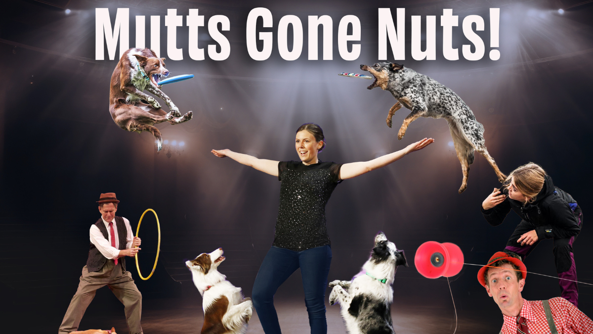 Mutts Gone Nuts at Lyric Theatre Florida