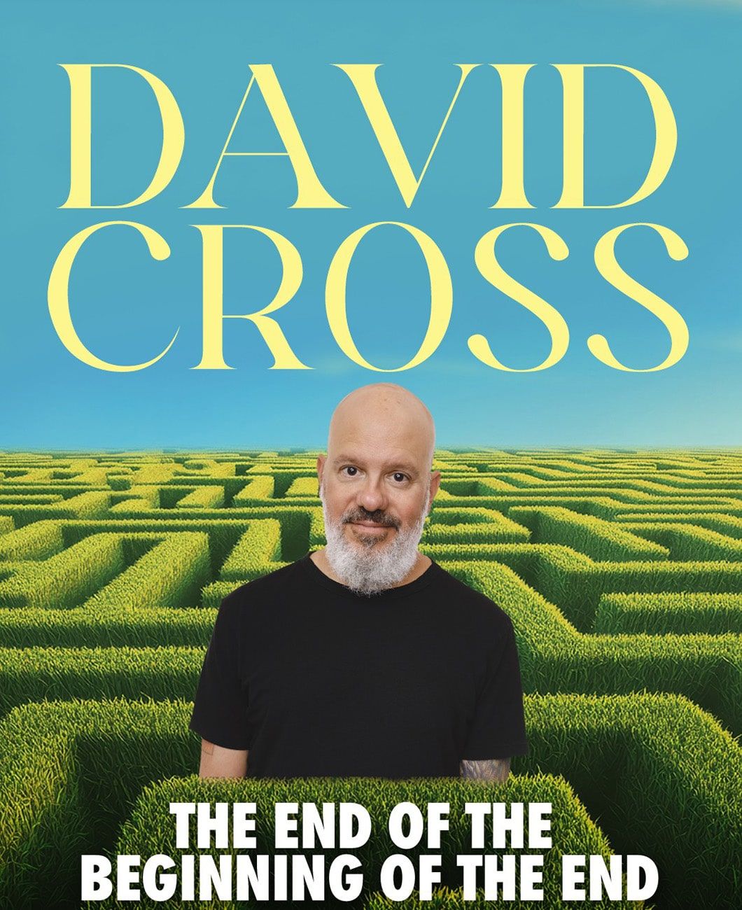 David Cross