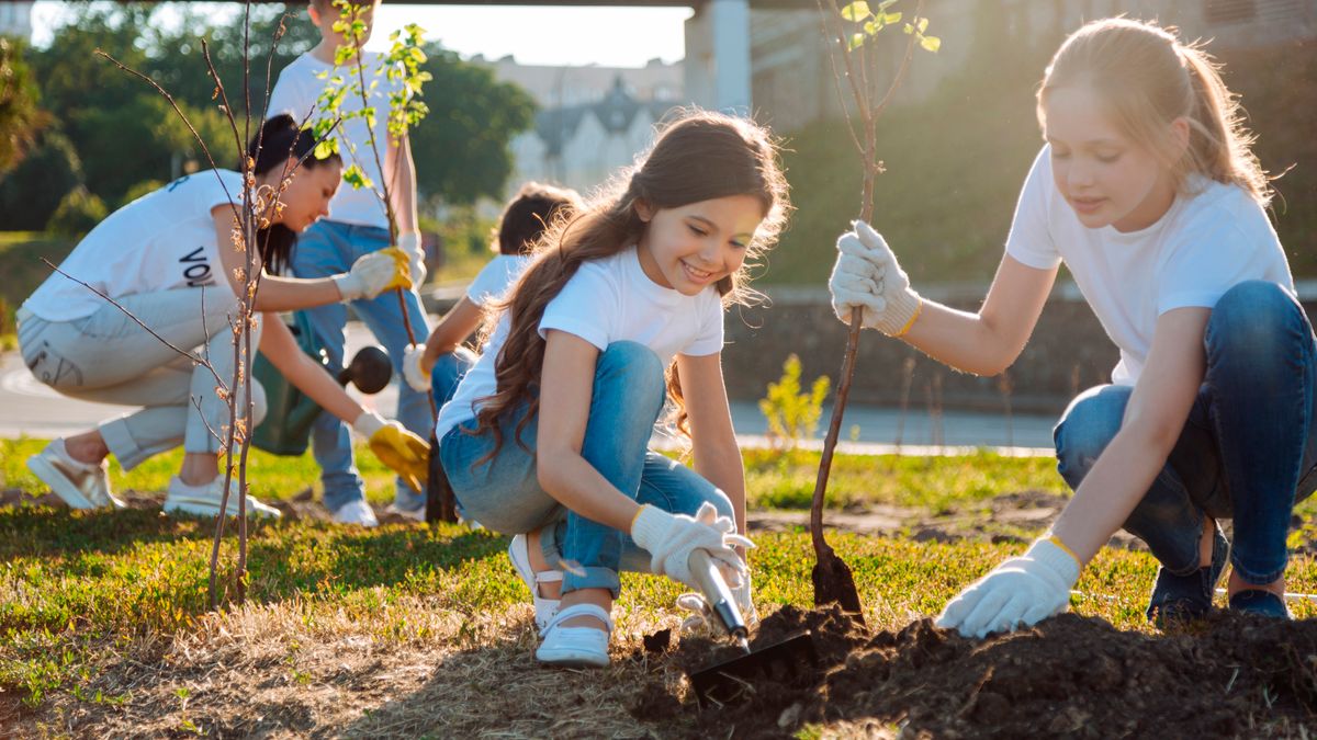 Celebrate National Day of Service: Stake Sponsored Service Project