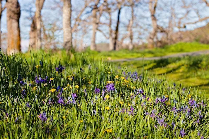 Gardening with Native Plants