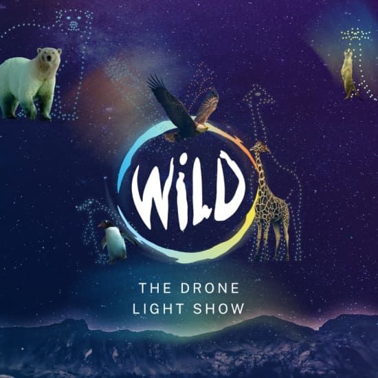 WILD: The Drone Light Show - Birmingham