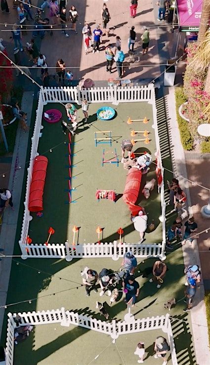 Event Photos