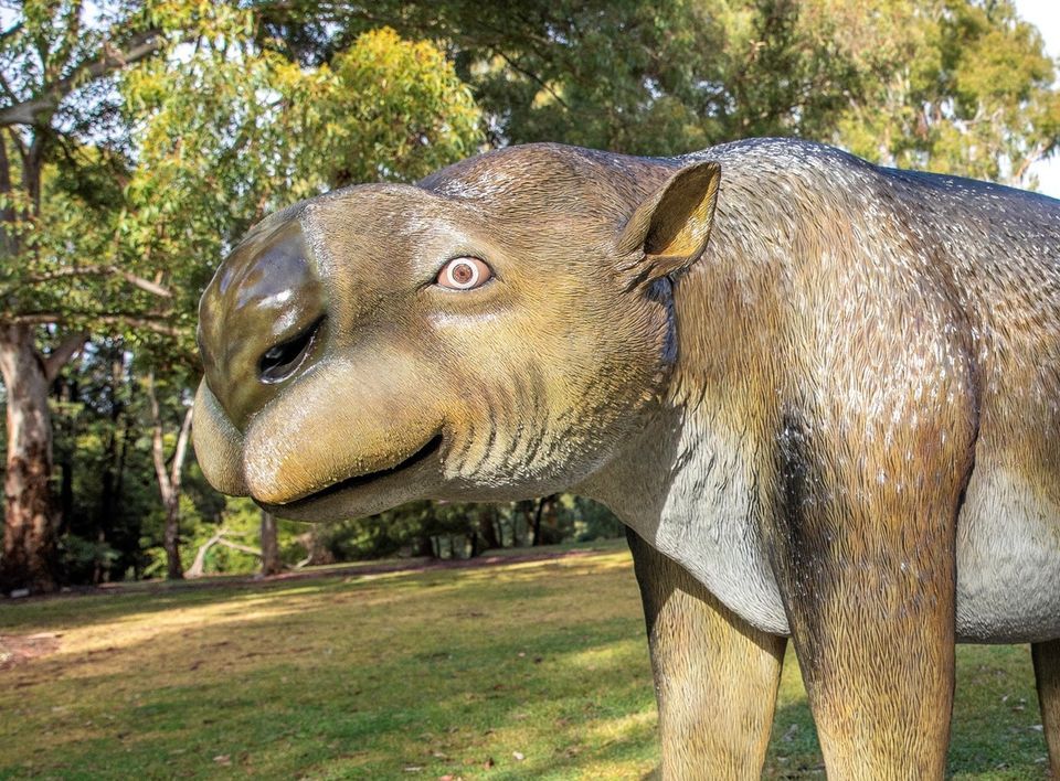 Diprotodon Insights at the Diprotodon MEGAfauna sculpture