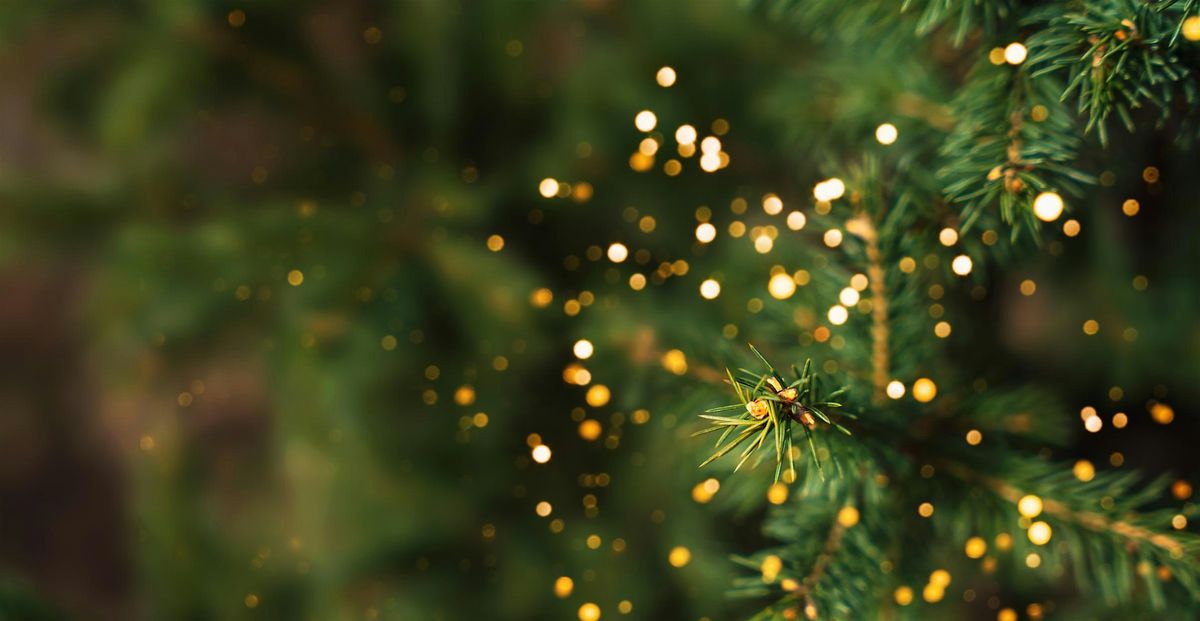 Holly Jolly Holiday Brunch at Le Croissant