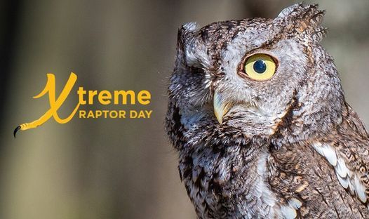 Xtreme Raptor Day