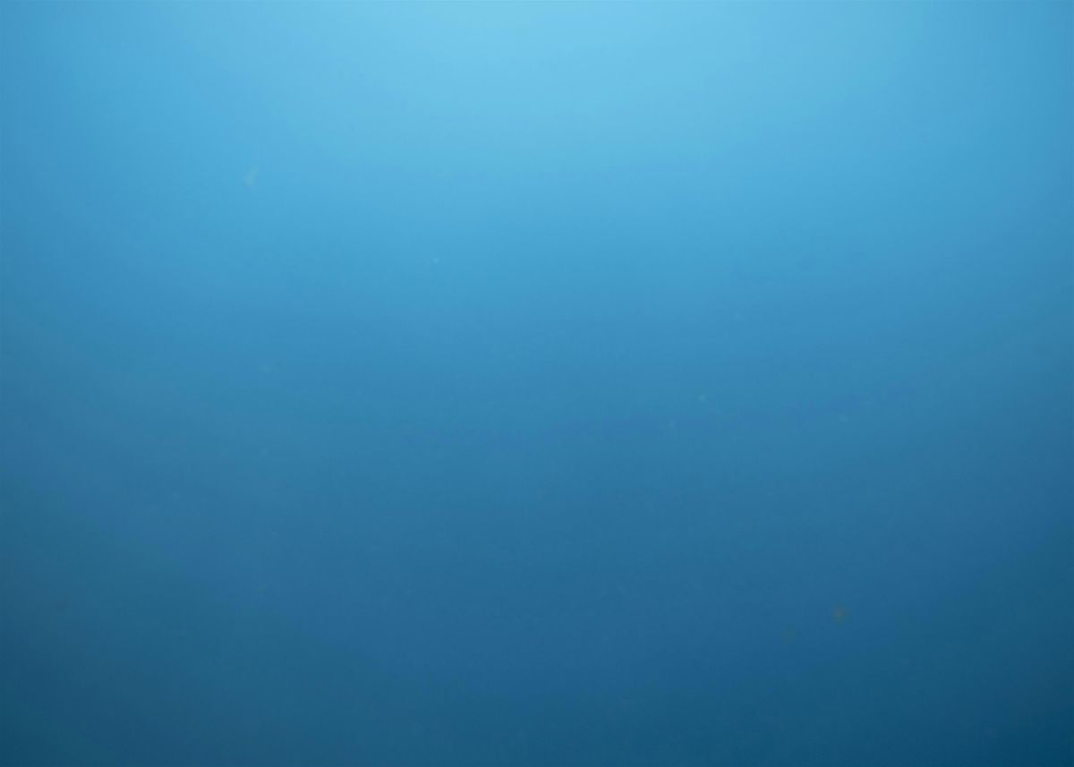 C\u00e9r\u00e9monie du Prix COAL et du Prix COAL \u00e9tudiant 2025