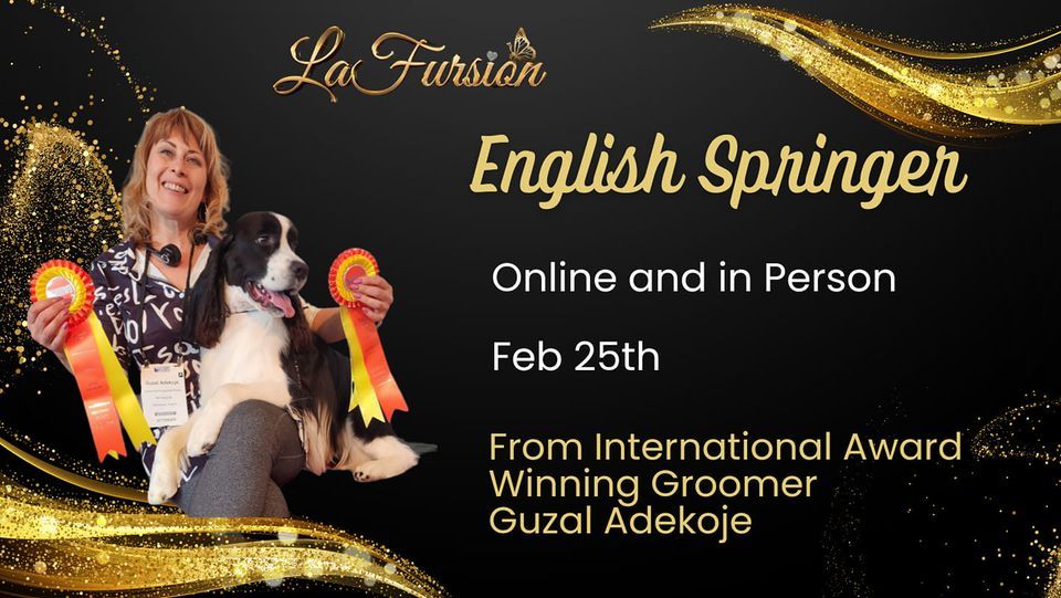 English Springer Spaniel Show & Competition Grooming 10401 Mt Vernon