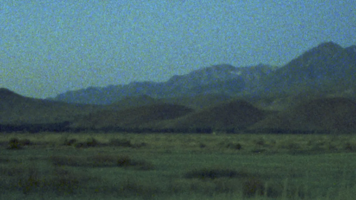 Dotan in K\u00f8benhavn